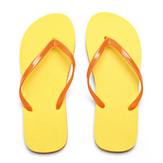 KC6816-08   Rannasussid